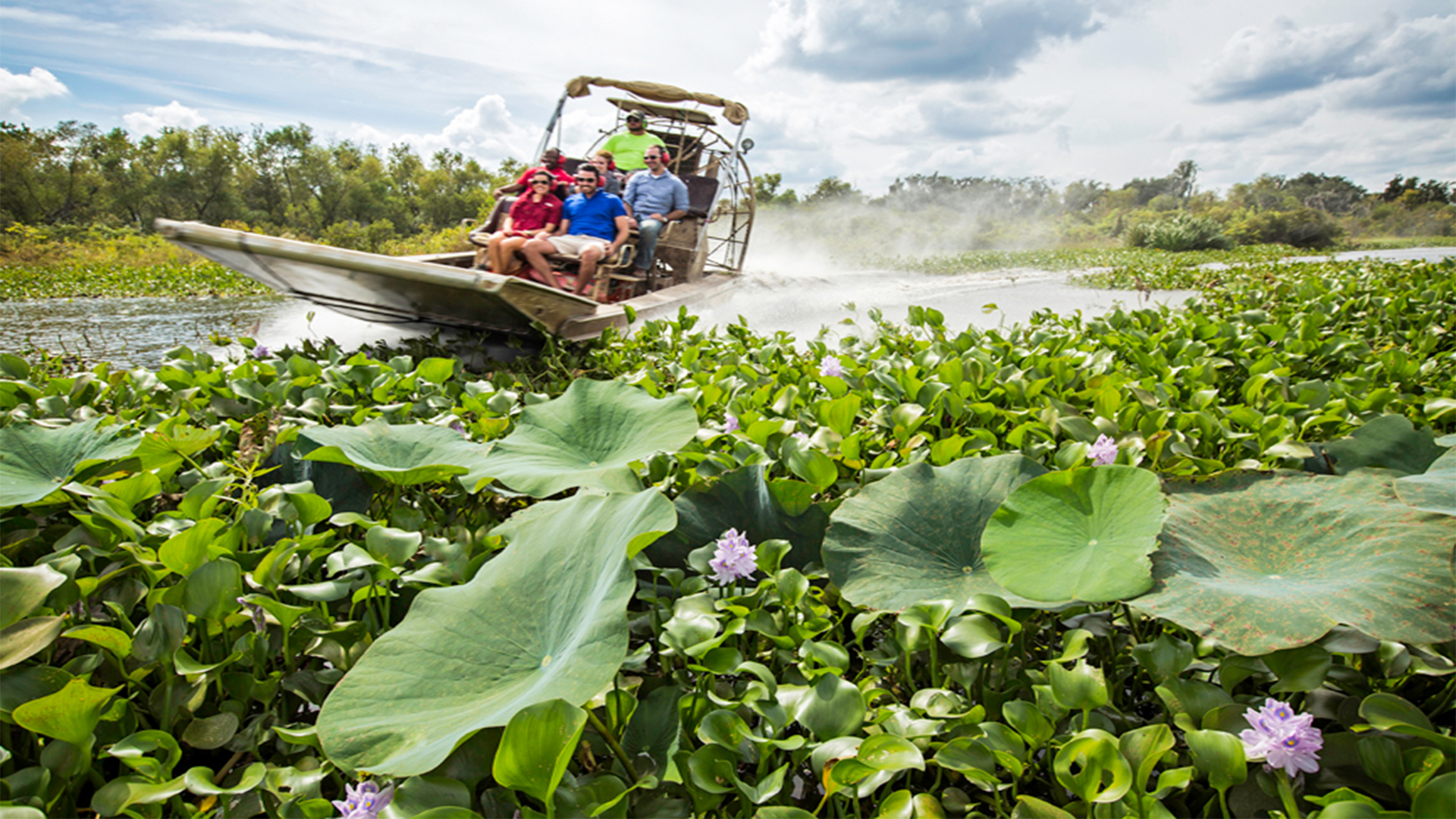 Bayou Lafourche the real bayou country